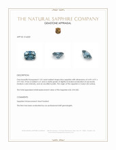 1.02 Ct. Blue Sapphire from Ceylon (Sri Lanka) Appraisal