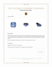 1.00 Ct. Purplish Blue Sapphire from Ceylon (Sri Lanka) Appraisal