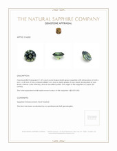 1.49 Ct. Sapphire from Ceylon (Sri Lanka) Appraisal
