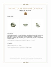 Jewelry Appraisal