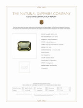 Jewelry Scan Report