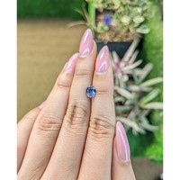 1.10 Ct. Bi Color Sapphire from Ceylon (Sri Lanka) Life Style