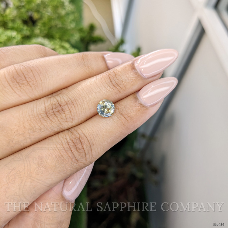 1.65 Ct. Bi Color Sapphire from Ceylon (Sri Lanka)