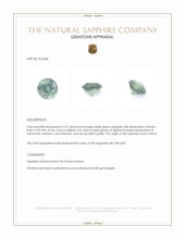 Jewelry Appraisal