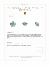 Jewelry Appraisal