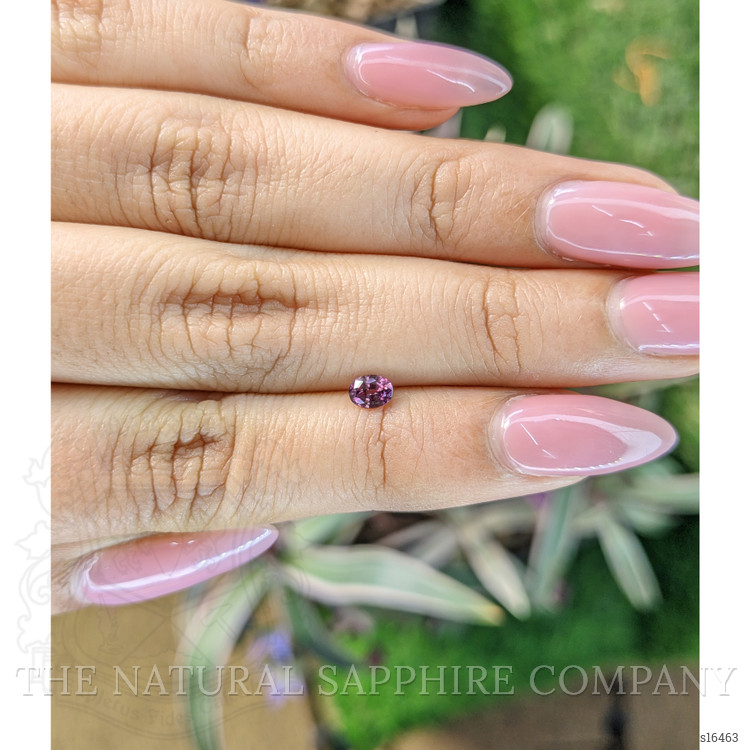 0.31 Ct. Bi Color Sapphire from Ceylon (Sri Lanka)