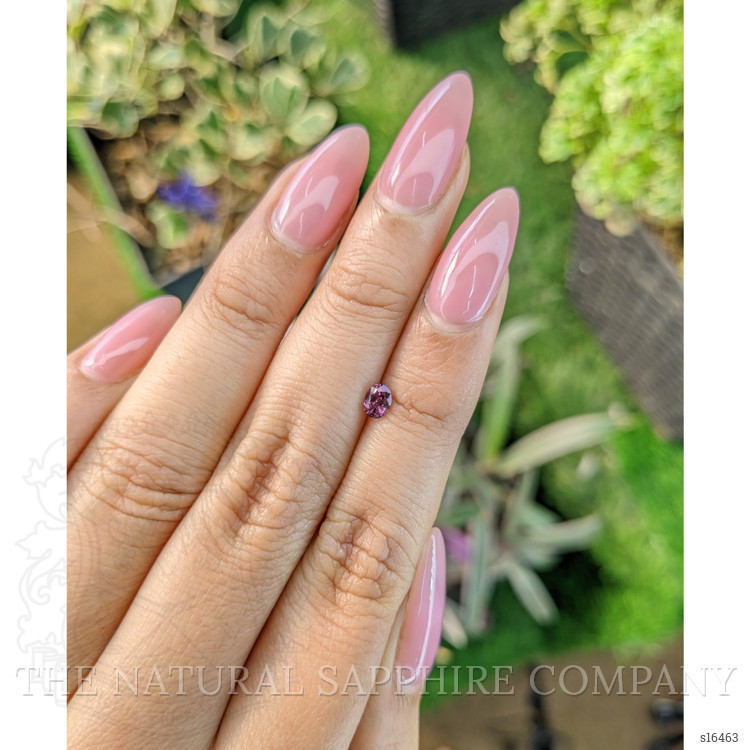 0.31 Ct. Bi Color Sapphire from Ceylon (Sri Lanka)