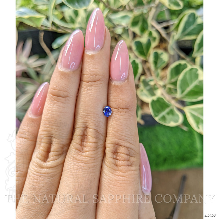 0.35 Ct. Blue Sapphire from Ceylon (Sri Lanka)
