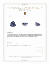 1.25 Ct. Bluish Purple Sapphire from Tanzania Appraisal