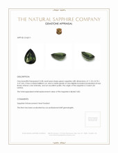 4.38 Ct. Green Sapphire from Ceylon (Sri Lanka) Appraisal