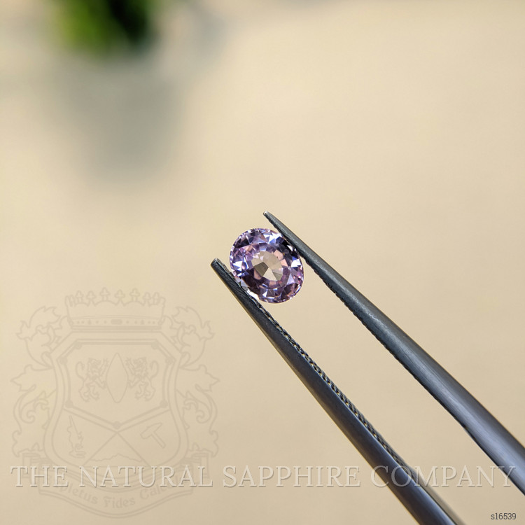 0.67 Ct. Purple Sapphire from Ceylon (Sri Lanka)