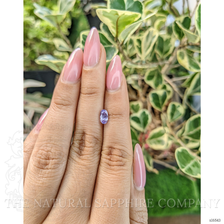 0.85 Ct. Purple Sapphire from Ceylon (Sri Lanka)