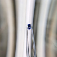 0.48 Ct. Blue Sapphire from Ceylon (Sri Lanka) Life Style
