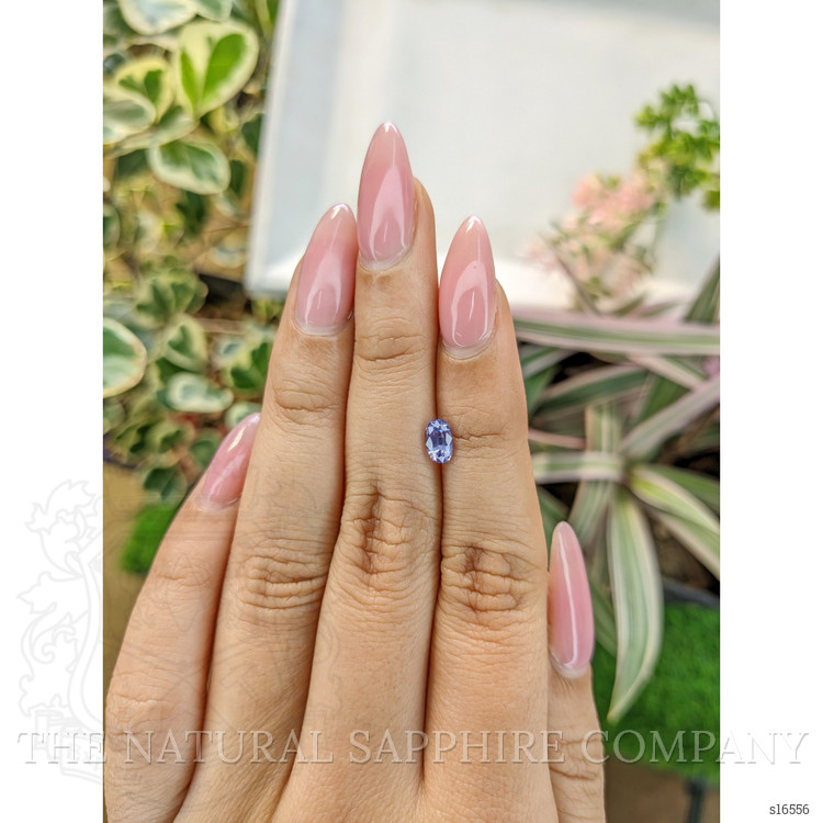 0.72 Ct. Violet Sapphire from Ceylon (Sri Lanka)