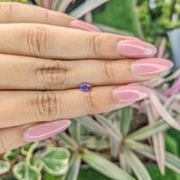 0.45 Ct. Purple Sapphire from Ceylon (Sri Lanka) Life Style