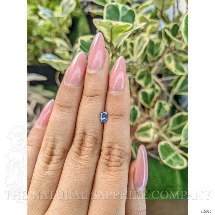0.50 Ct. Blue Sapphire from Ceylon (Sri Lanka)