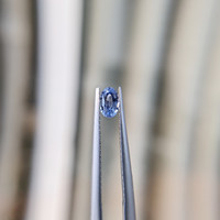 0.47 Ct. Blue Sapphire from Ceylon (Sri Lanka) Life Style