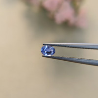 0.31 Ct. Blue Sapphire from Ceylon (Sri Lanka) Life Style