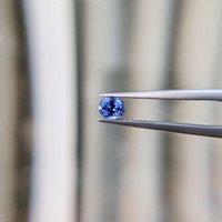 0.58 Ct. Blue Sapphire from Ceylon (Sri Lanka) Life Style