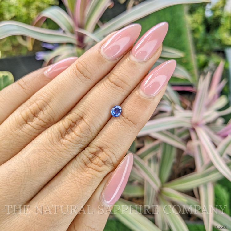 0.58 Ct. Blue Sapphire from Ceylon (Sri Lanka)