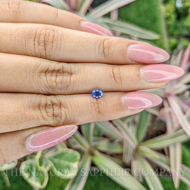 0.58 Ct. Blue Sapphire from Ceylon (Sri Lanka)