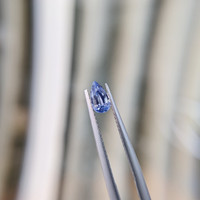 0.58 Ct. Blue Sapphire from Ceylon (Sri Lanka) Life Style