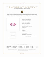 Jewelry Scan Report