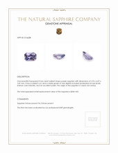 0.66 Ct. Purple Sapphire from Ceylon (Sri Lanka) Appraisal
