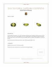 1.03 Ct. Yellowish Green Sapphire from Ceylon (Sri Lanka) Appraisal
