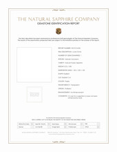 Jewelry Scan Report