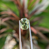 4.24 Ct. Green Sapphire from Madagascar Life Style