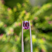 2.03 Ct. Purplish Pink Sapphire from Madagascar Life Style