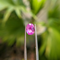 2.59 Ct. Pink Sapphire from Ceylon (Sri Lanka) Life Style