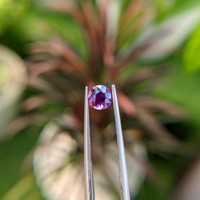 1.05 Ct. Pinkish Purple Sapphire from Ceylon (Sri Lanka) Life Style