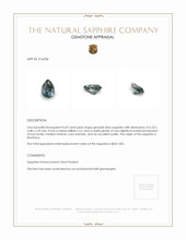 Jewelry Appraisal