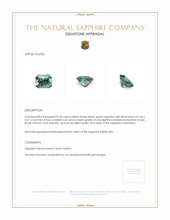 Jewelry Appraisal