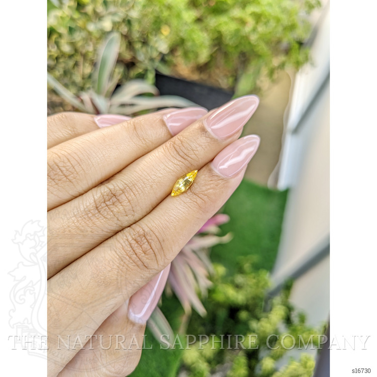 1.26 Ct. Yellow Sapphire from Ceylon (Sri Lanka)