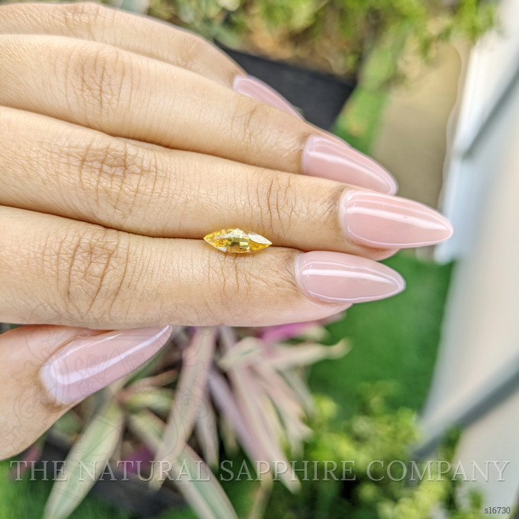 1.26 Ct. Yellow Sapphire from Ceylon (Sri Lanka)