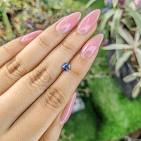 0.51 Ct. Blue Sapphire from Ceylon (Sri Lanka) Life Style