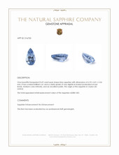 0.69 Ct. Blue Sapphire from Ceylon (Sri Lanka) Appraisal