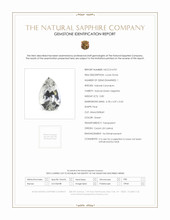 Jewelry Scan Report