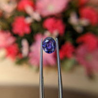 1.55 Ct. Sapphire from Tanzania Life Style
