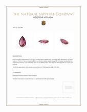 1.55 Ct. Sapphire from Ceylon (Sri Lanka) Appraisal