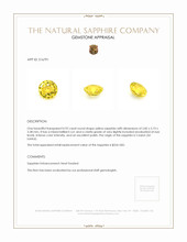 0.92 Ct. Yellow Sapphire from Ceylon (Sri Lanka) Appraisal