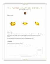1.14 Ct. Yellow Sapphire from Ceylon (Sri Lanka) Appraisal