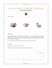 Jewelry Appraisal