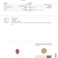 Jewelry Scan Report