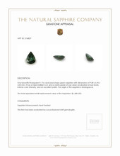 Jewelry Appraisal