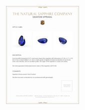 0.97 Ct. Blue Sapphire from Ceylon (Sri Lanka) Appraisal