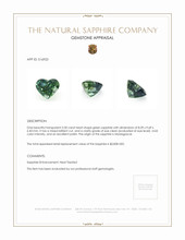 Jewelry Appraisal